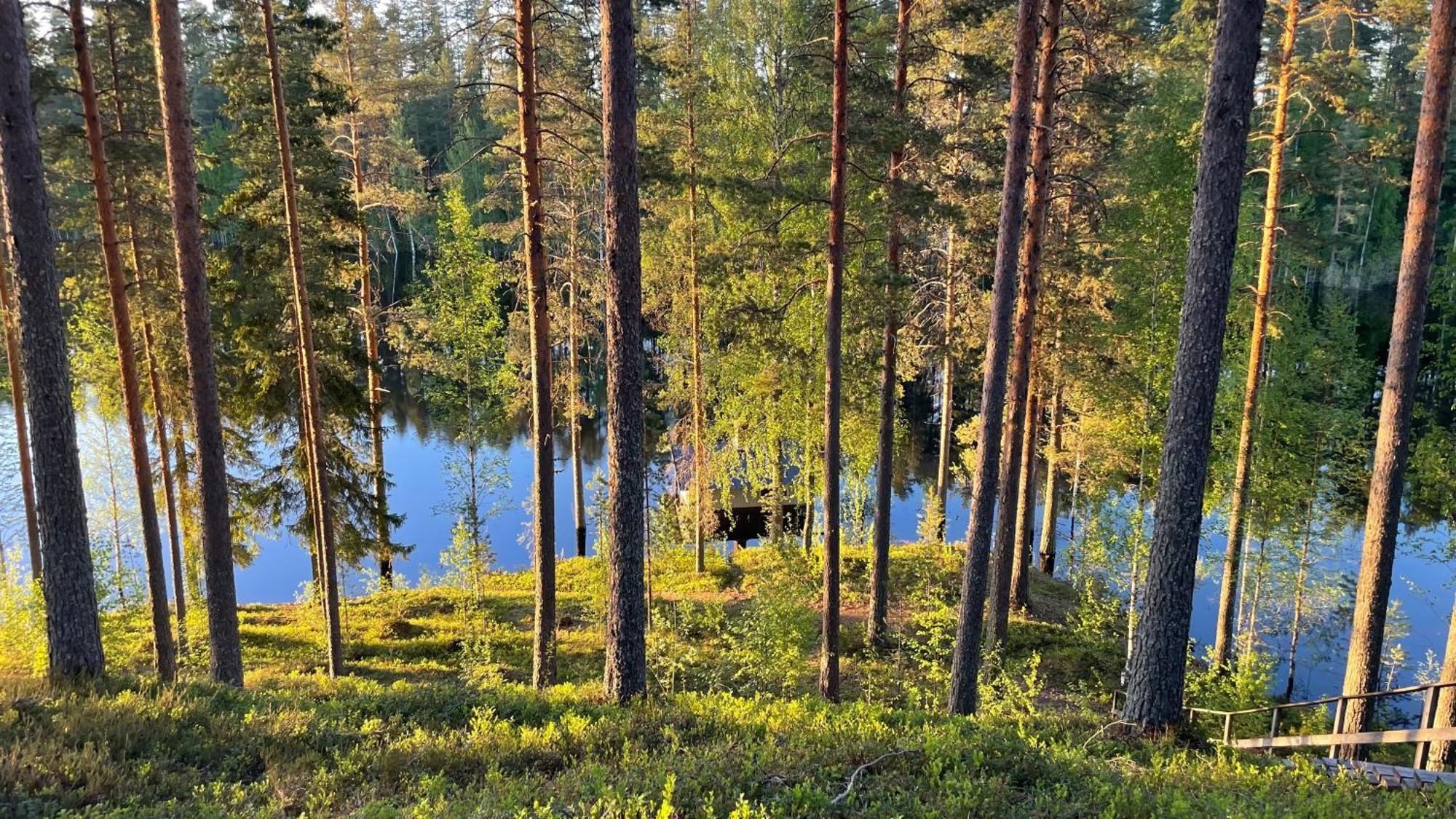 Ahvenlampi Camping Saarijärvi Exteriör bild