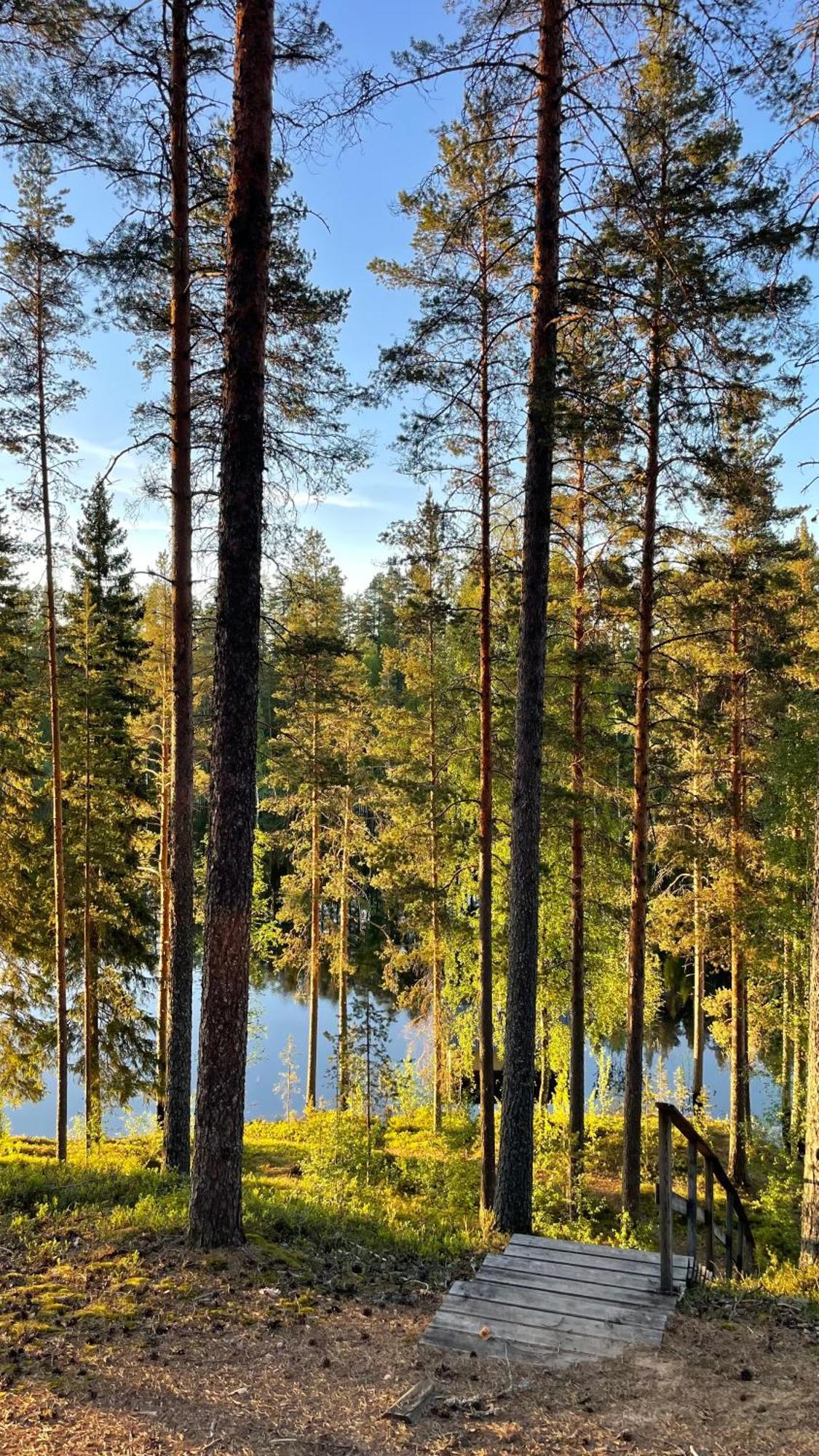 Ahvenlampi Camping Saarijärvi Exteriör bild