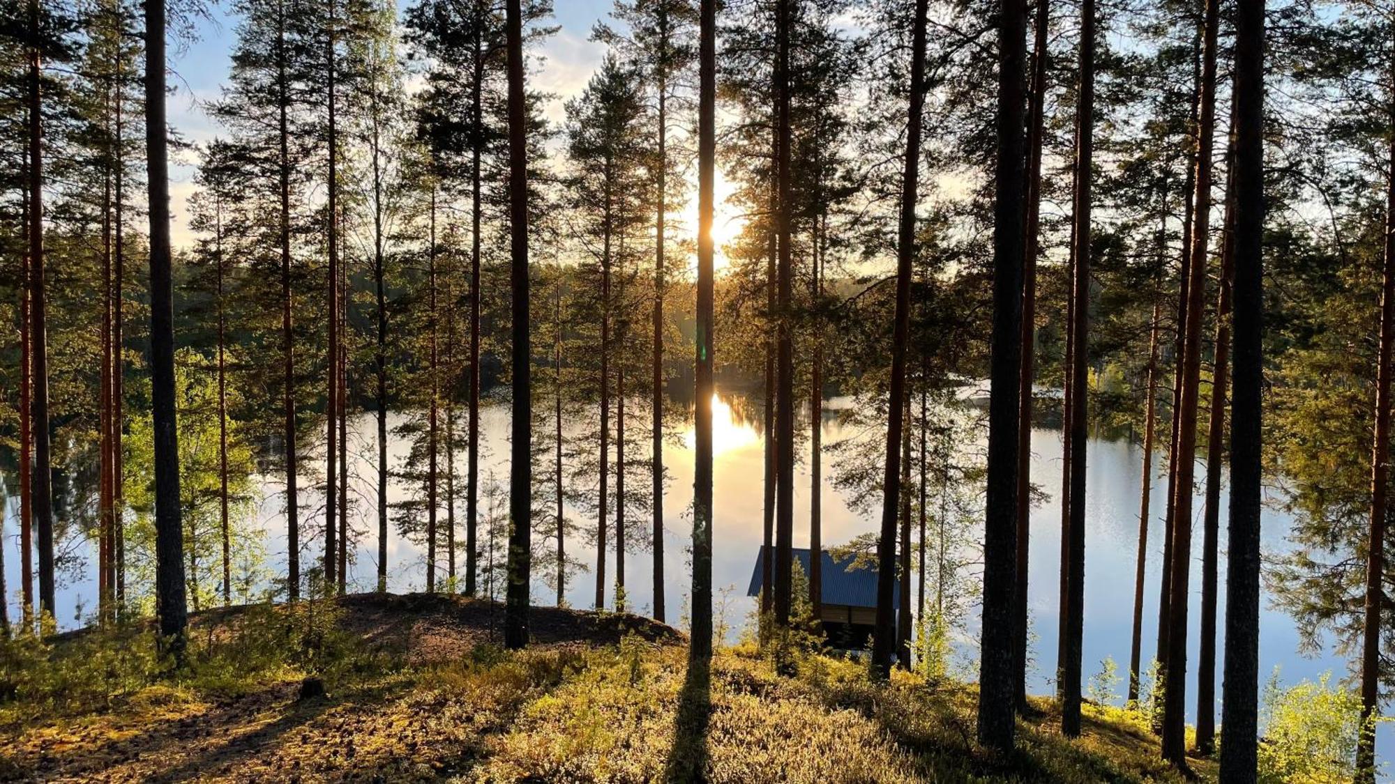 Ahvenlampi Camping Saarijärvi Exteriör bild