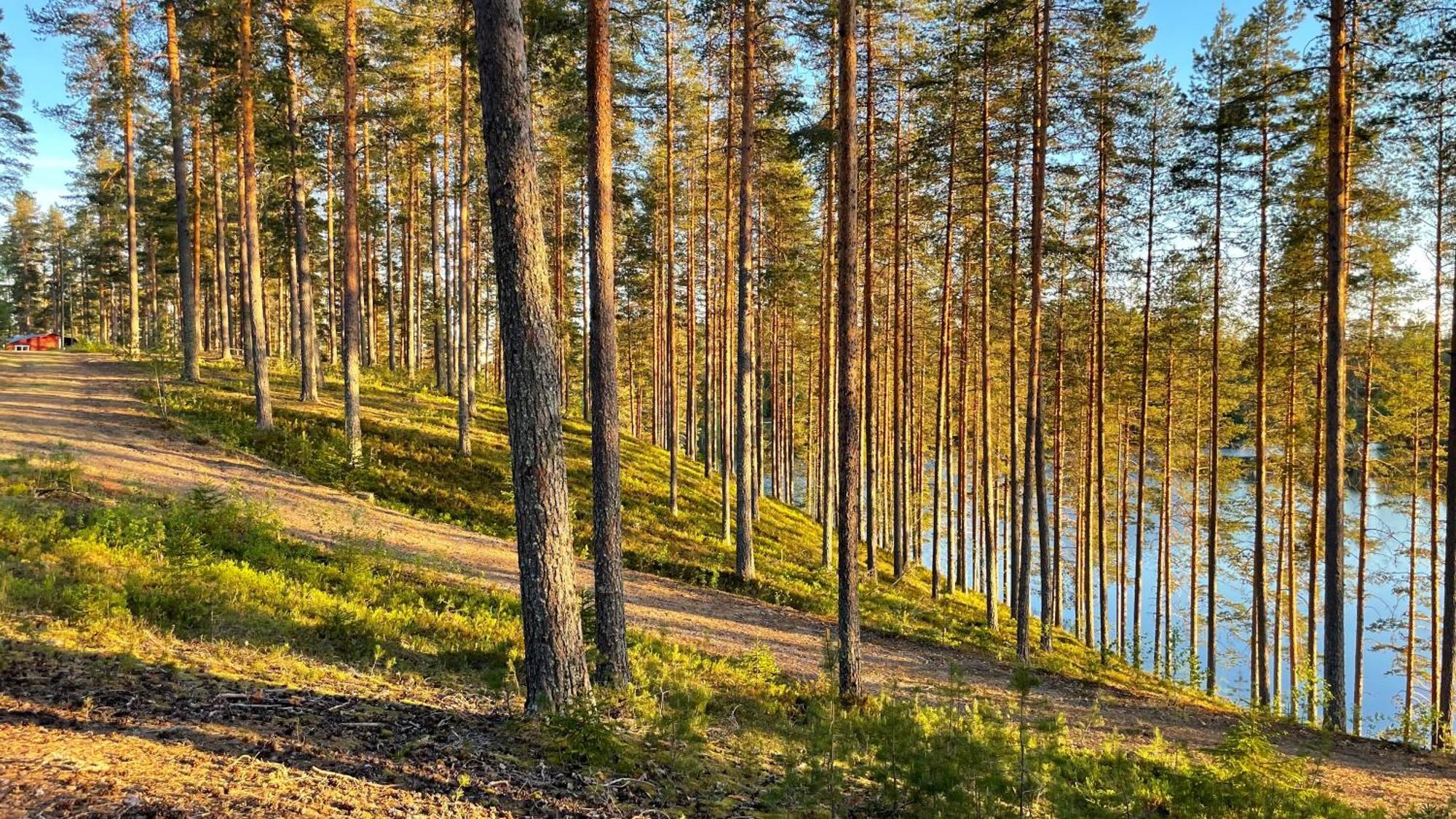 Ahvenlampi Camping Saarijärvi Exteriör bild