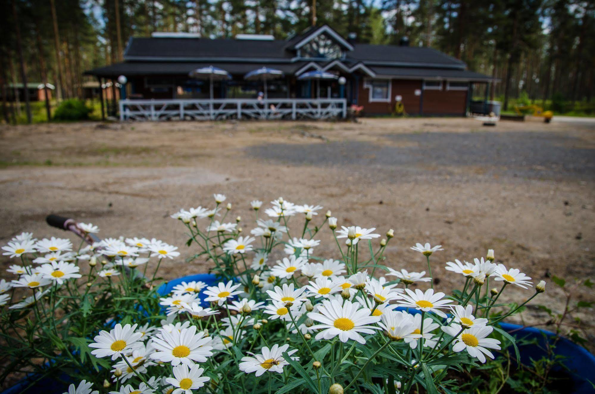 Ahvenlampi Camping Saarijärvi Exteriör bild