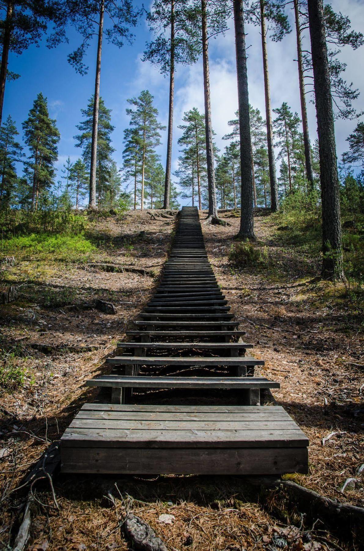 Ahvenlampi Camping Saarijärvi Exteriör bild